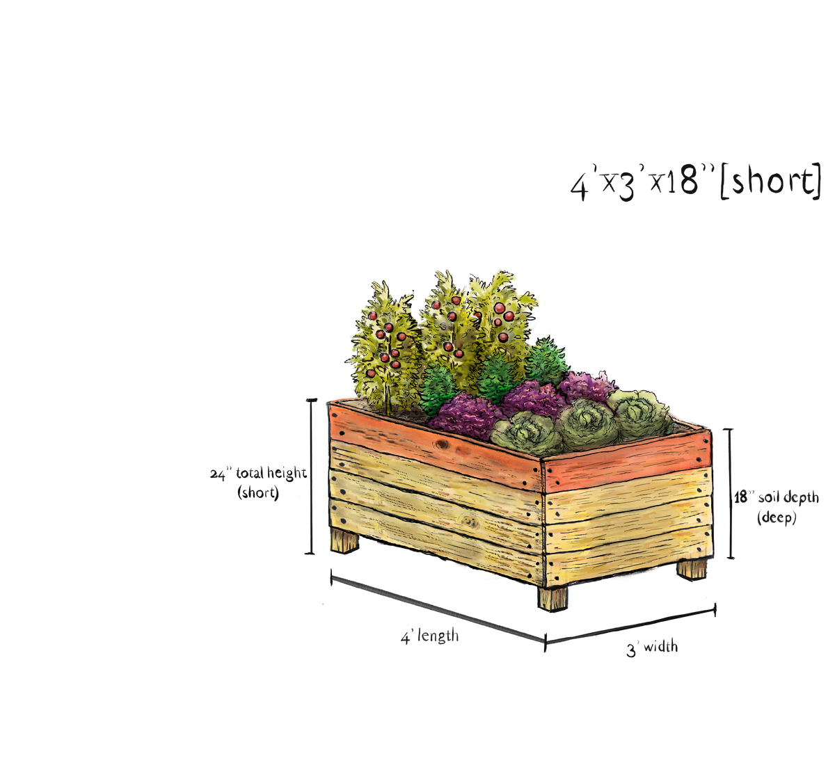 4' x 3' victory garden la