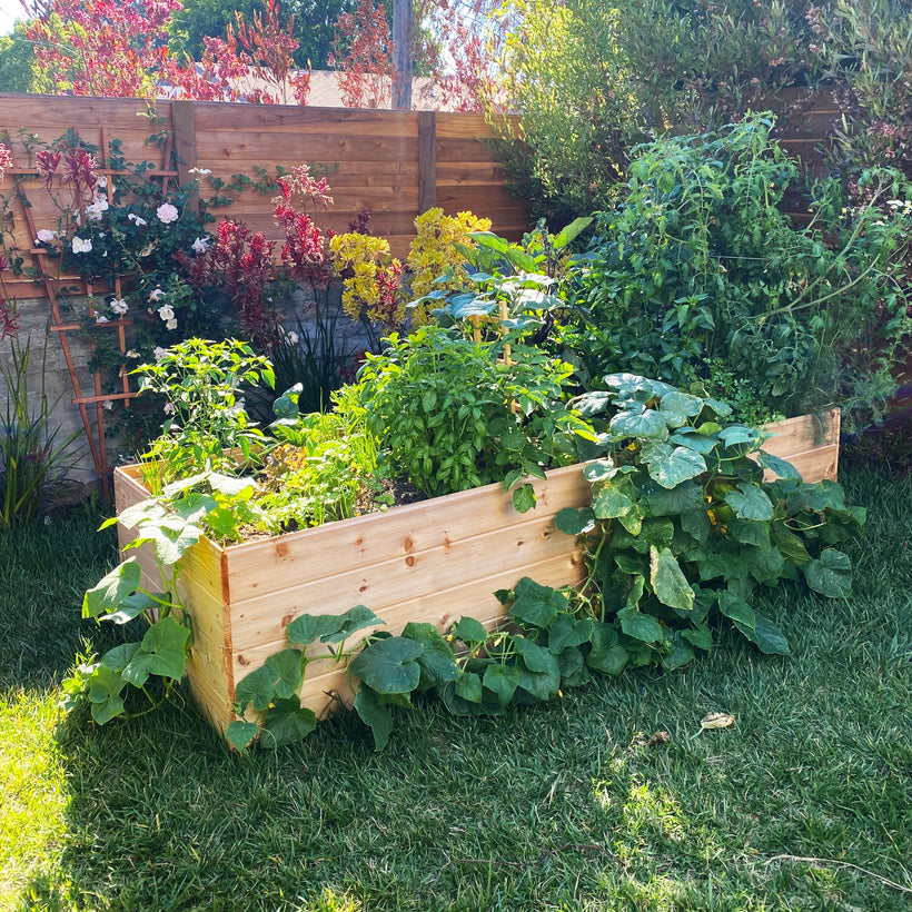 planter boxes