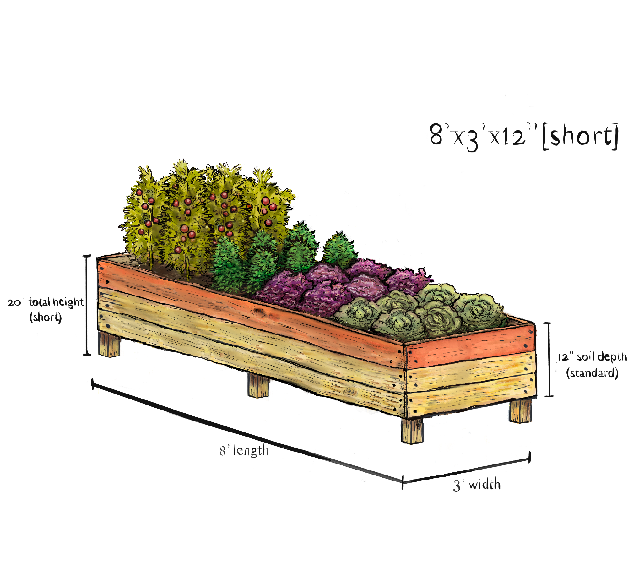 8' x 3'
