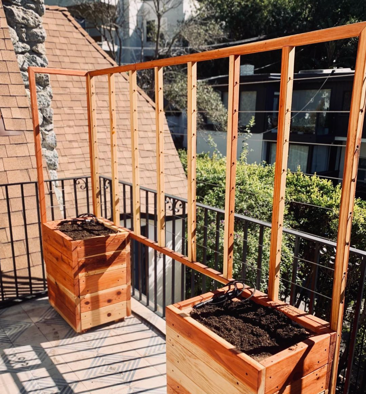 trellis