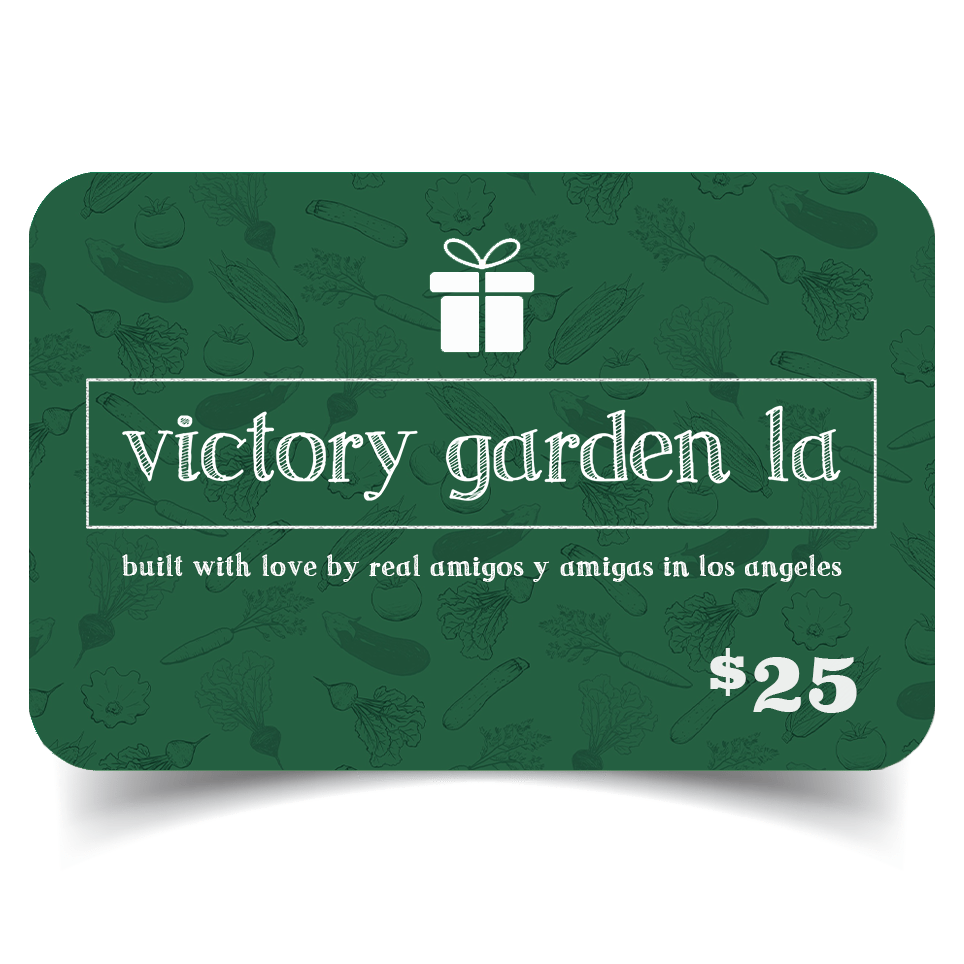 vgla digital gift card